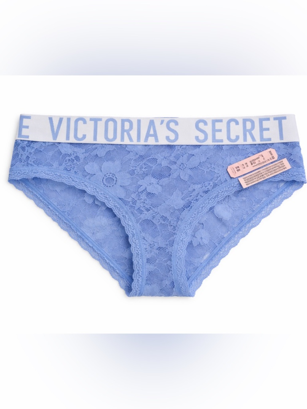 Victoria's Secret Periwinkle Lace Bikini Briefs
